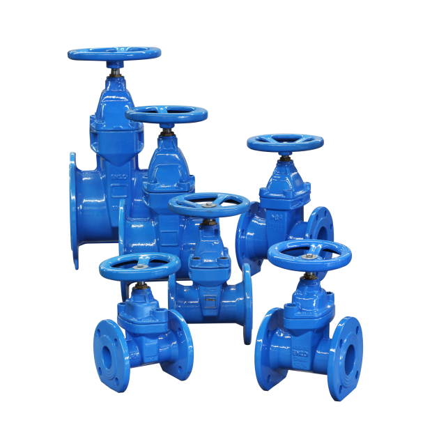 Gate Valve 閘閥